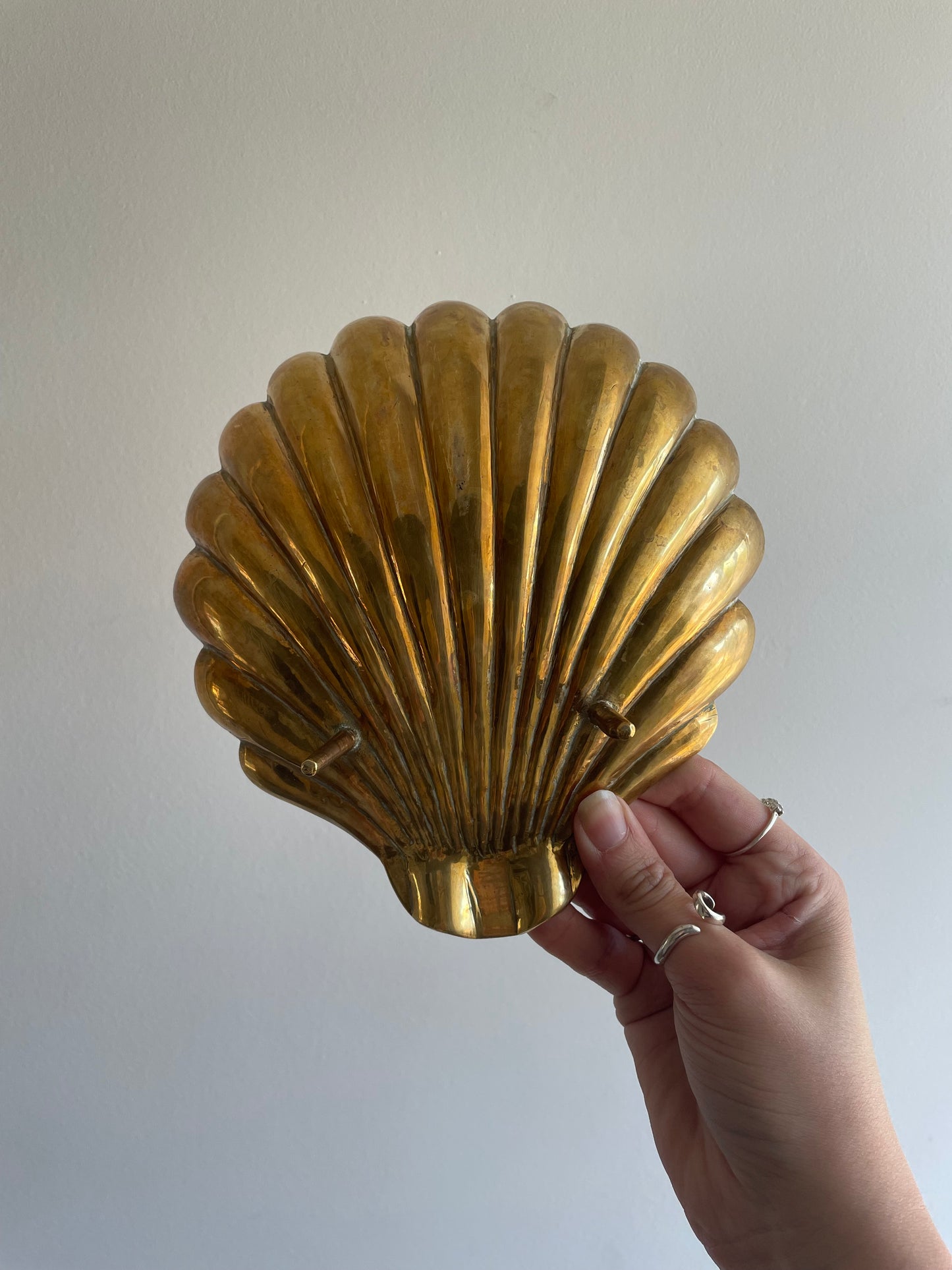 Brass shell trinket dish