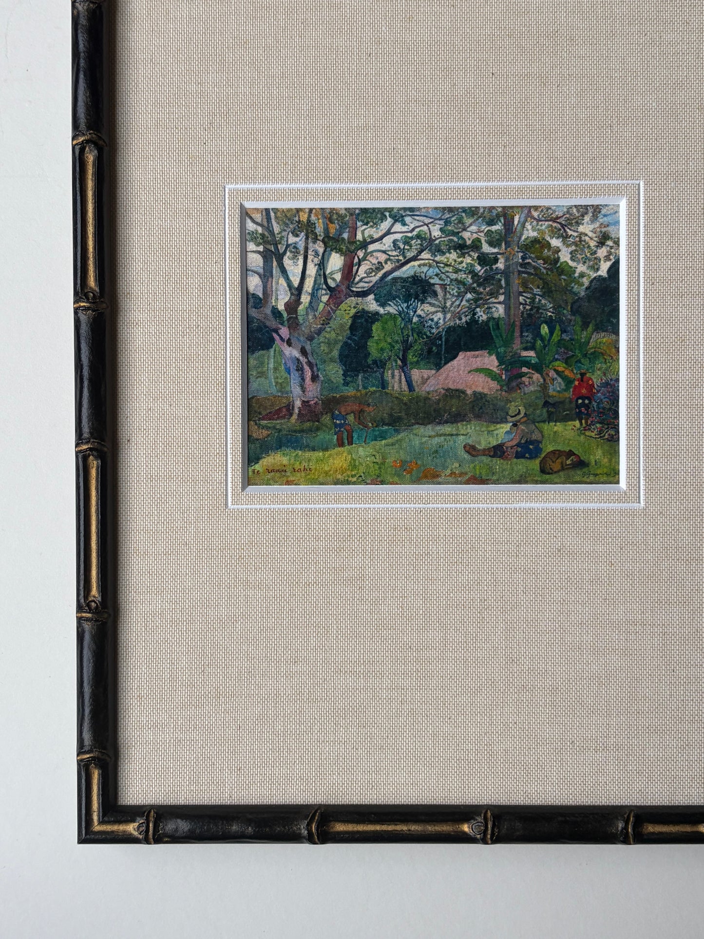 Framed tropical landscape with mount