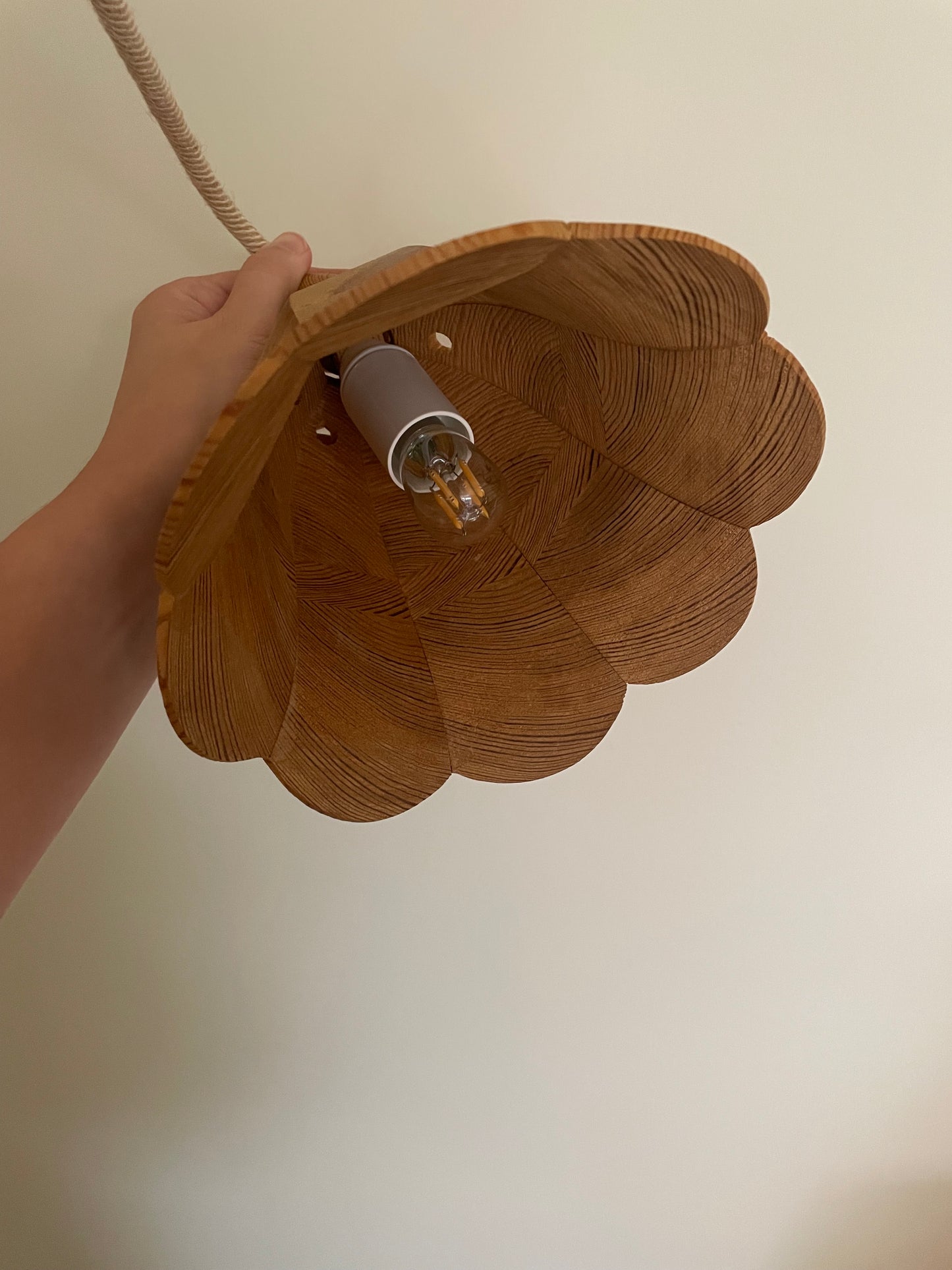 Bell shaped pine wooden wall plug-in lights