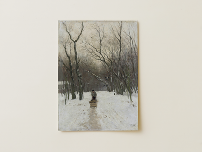 Winter in the woods