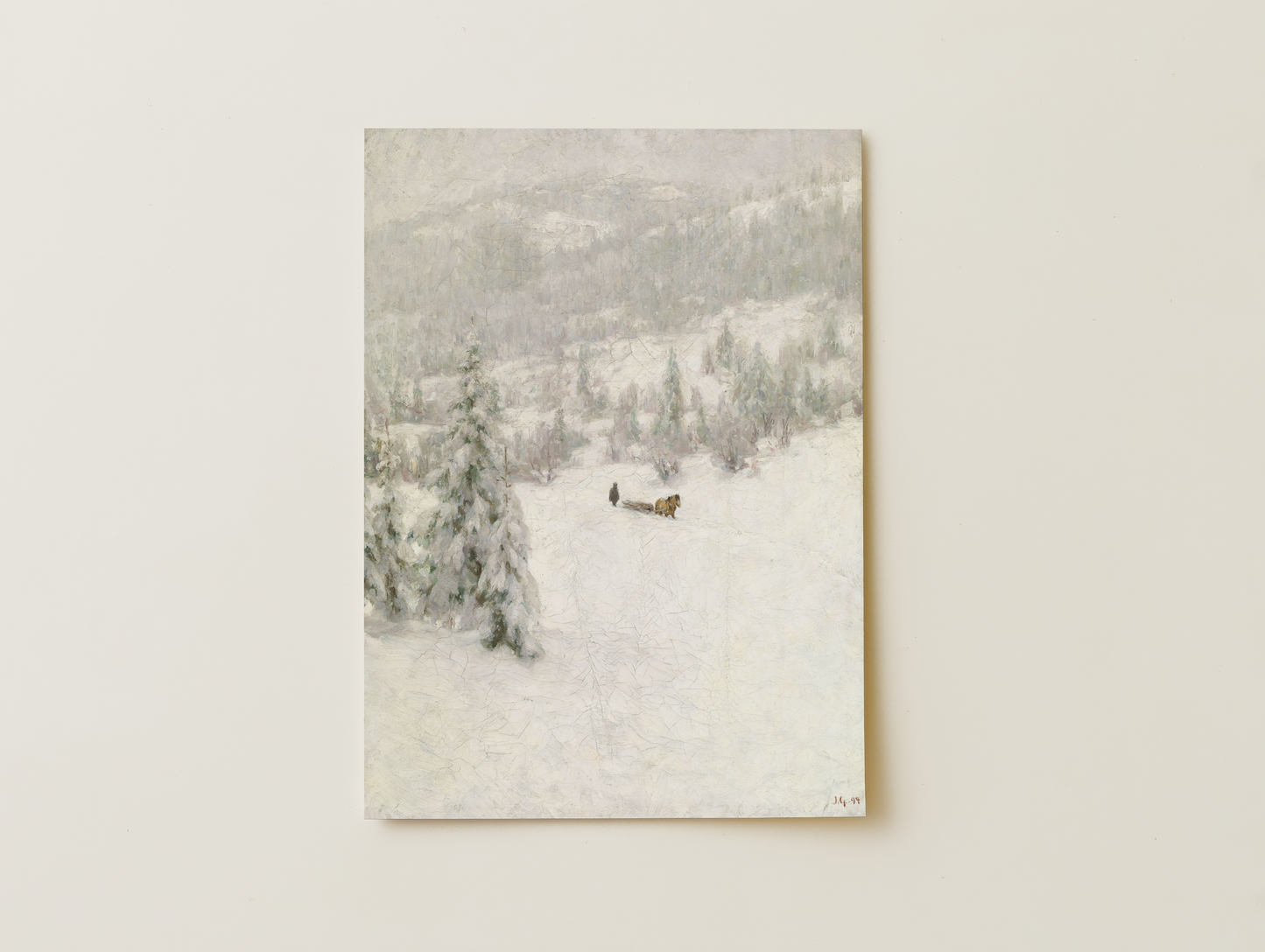 A winter's forest day