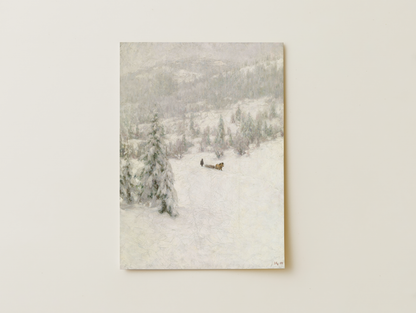 A winter's forest day
