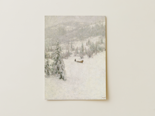 A winter's forest day