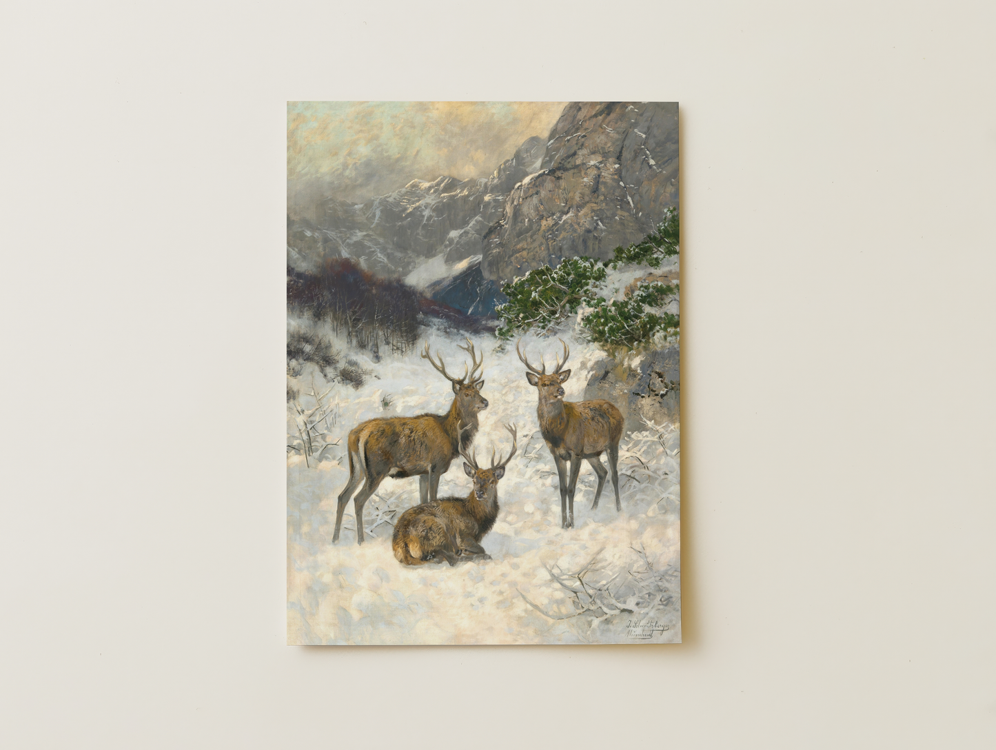 Deer in the snow