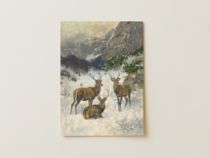 Deer in the snow