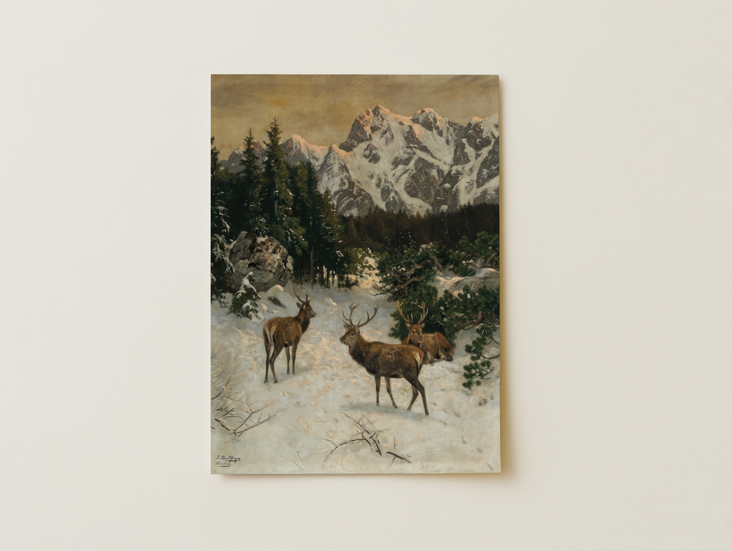 Three Deer in winter