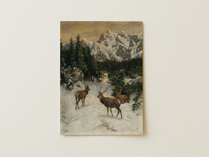 Three Deer in winter