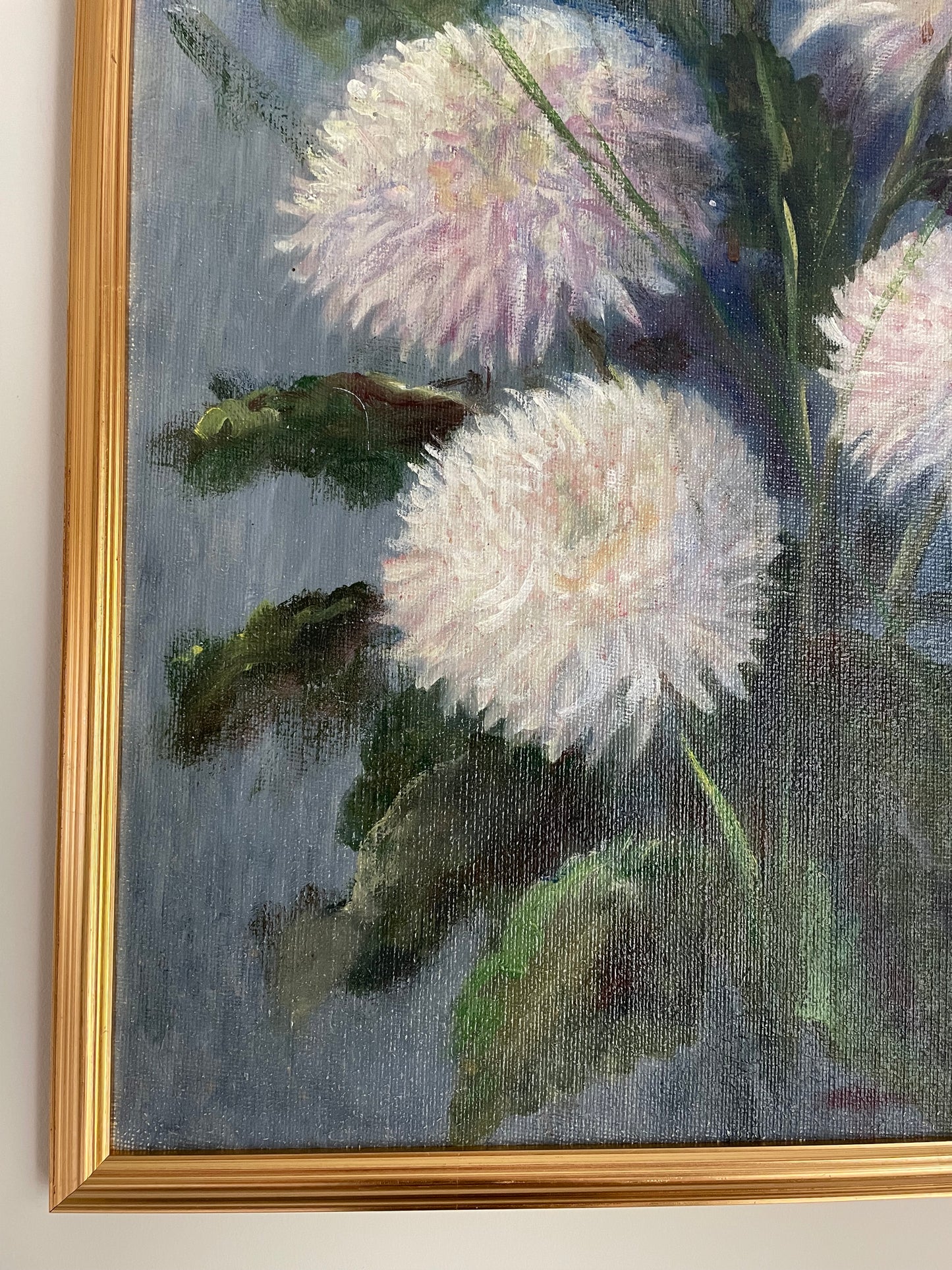 White Chrysanthemums with blue and purple background