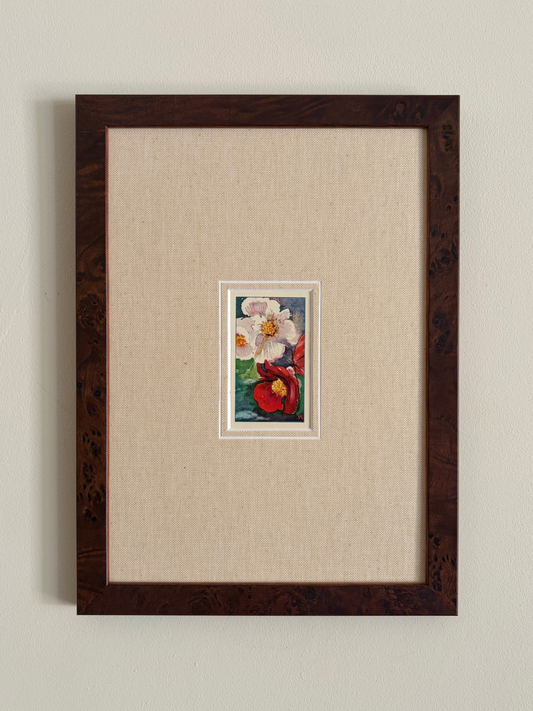Antique begonia light pink and red flower print in teak frame