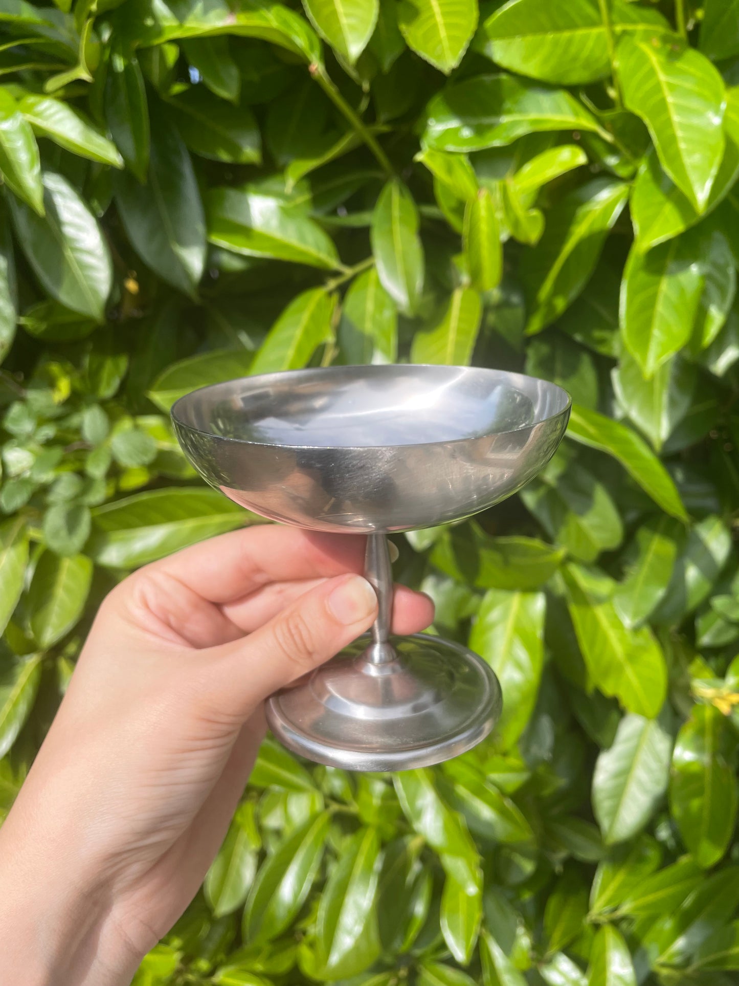 French vintage stainless steel ice cream coupes