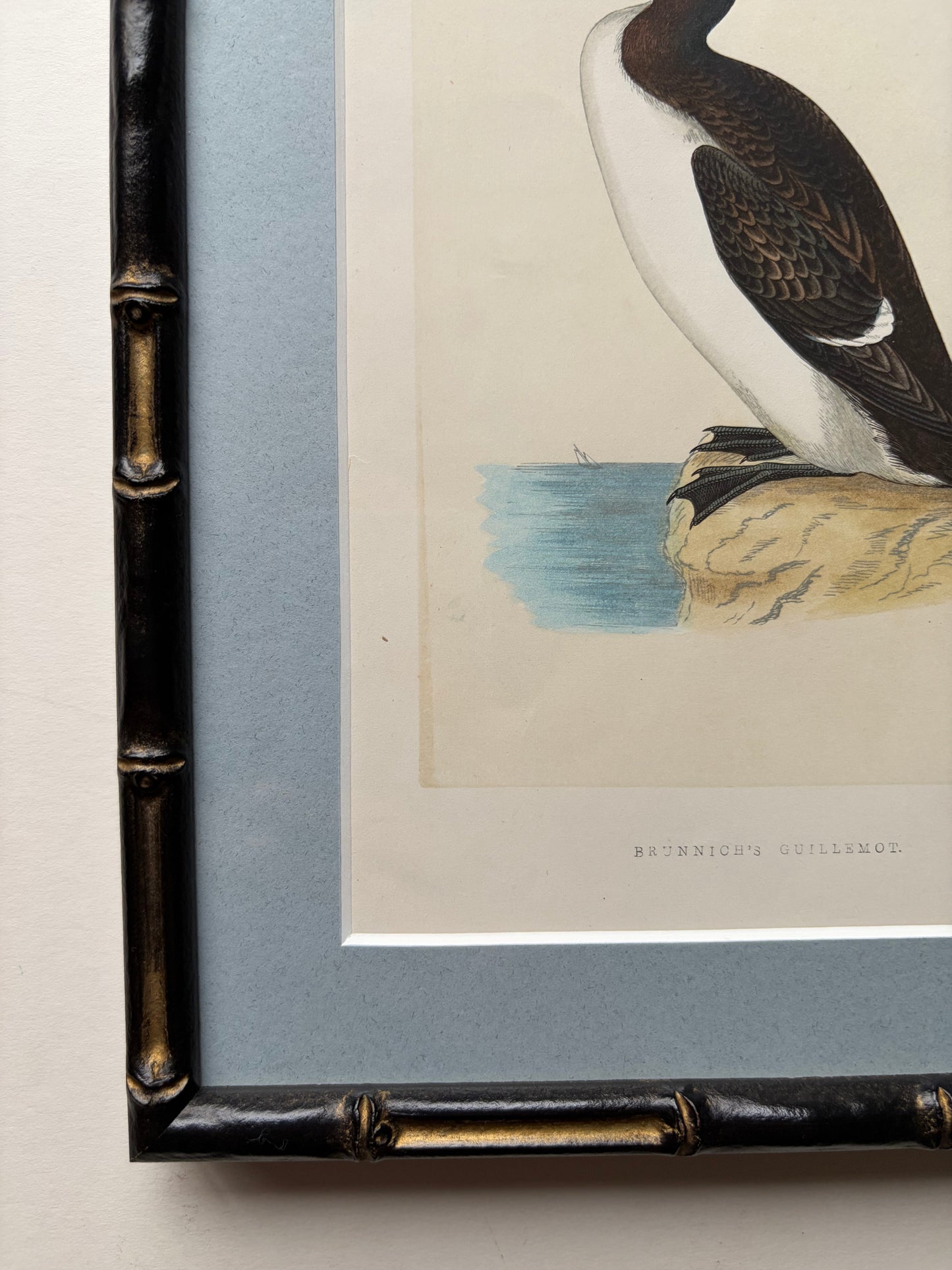 Antique framed wood engraving prints of birds (Guillemont) in bamboo style, c. 1870