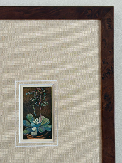 Antique succulent flower print in teak frame