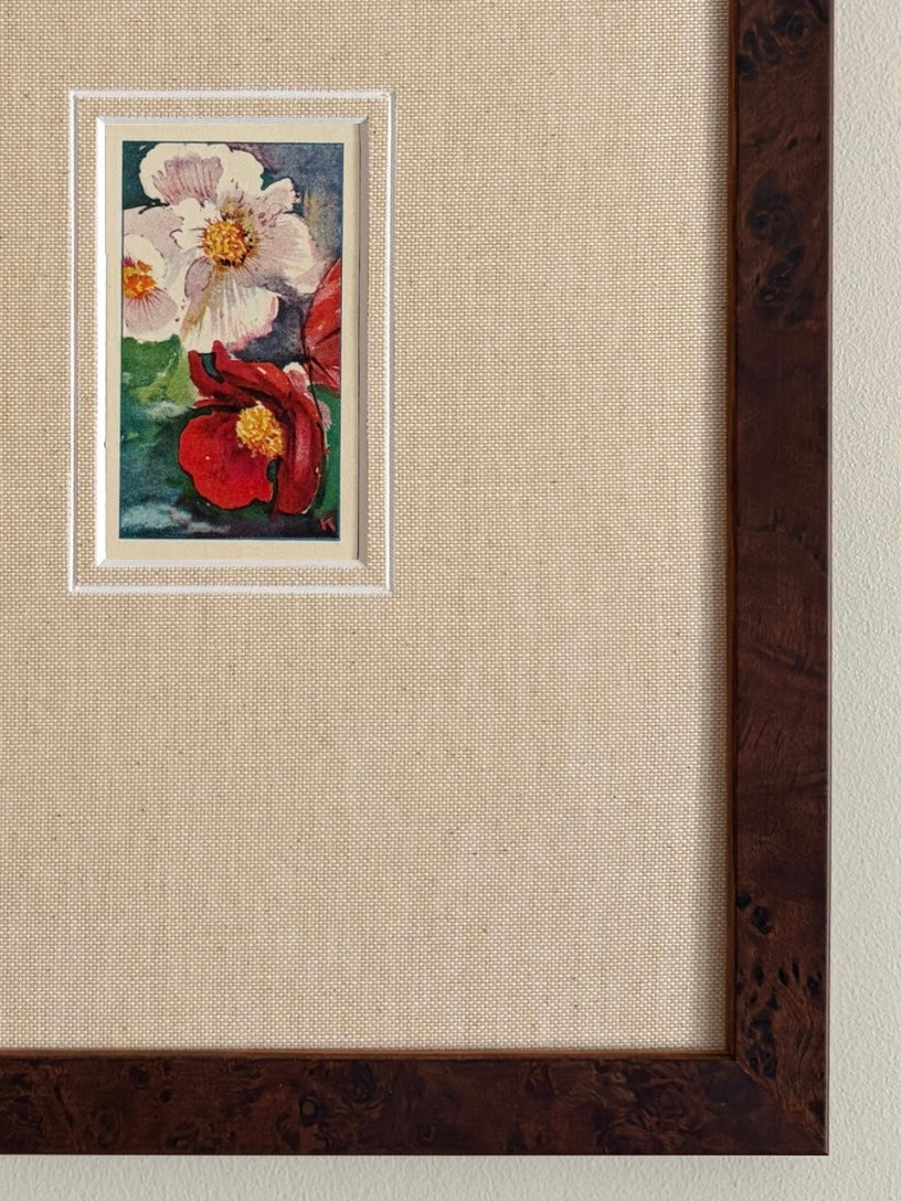 Antique begonia light pink and red flower print in teak frame