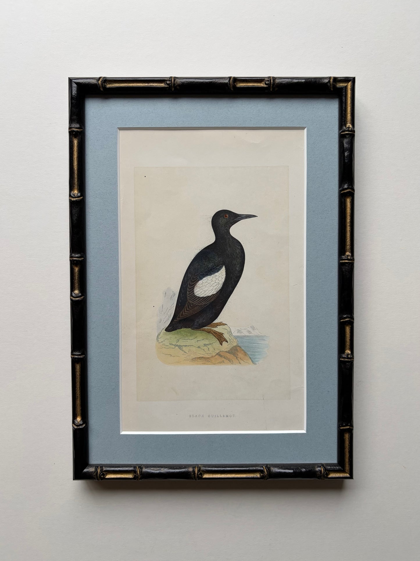 Antique framed wood engraving prints of birds (Guillemont) in bamboo style, c. 1870