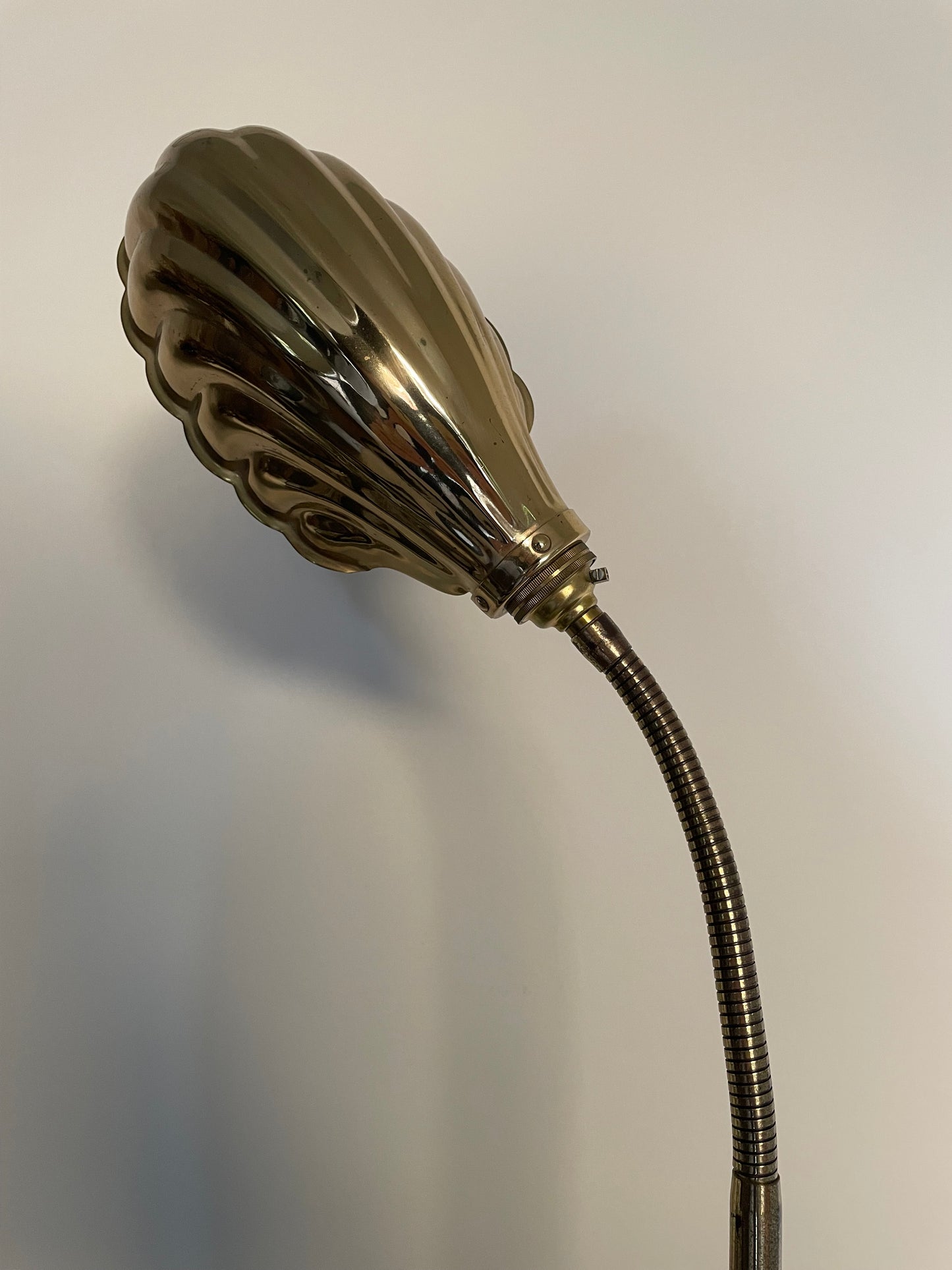 Brass clam shell desk lamp