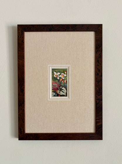 Antique bladbegonia flower print in teak frame