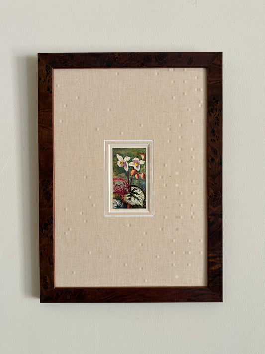 Antique bladbegonia flower print in teak frame