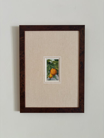 Antique orange tree print in teak frame