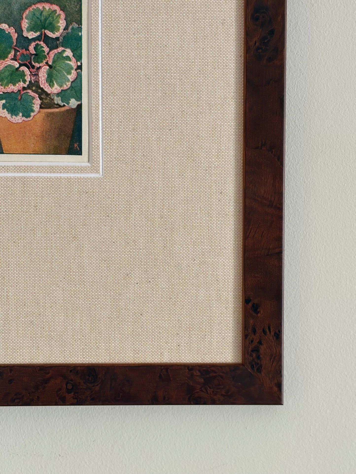 Antique strawberry begonia potted plant print in teak frame