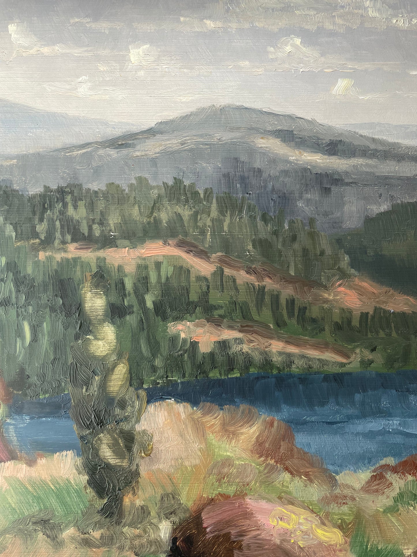 Mountain landscape oil painting by Sven Schützer-Branzén