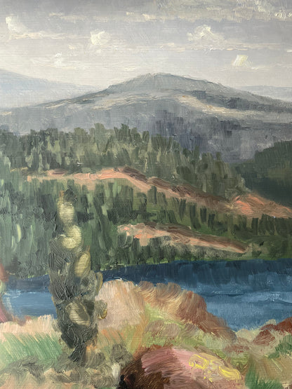 Mountain landscape oil painting by Sven Schützer-Branzén