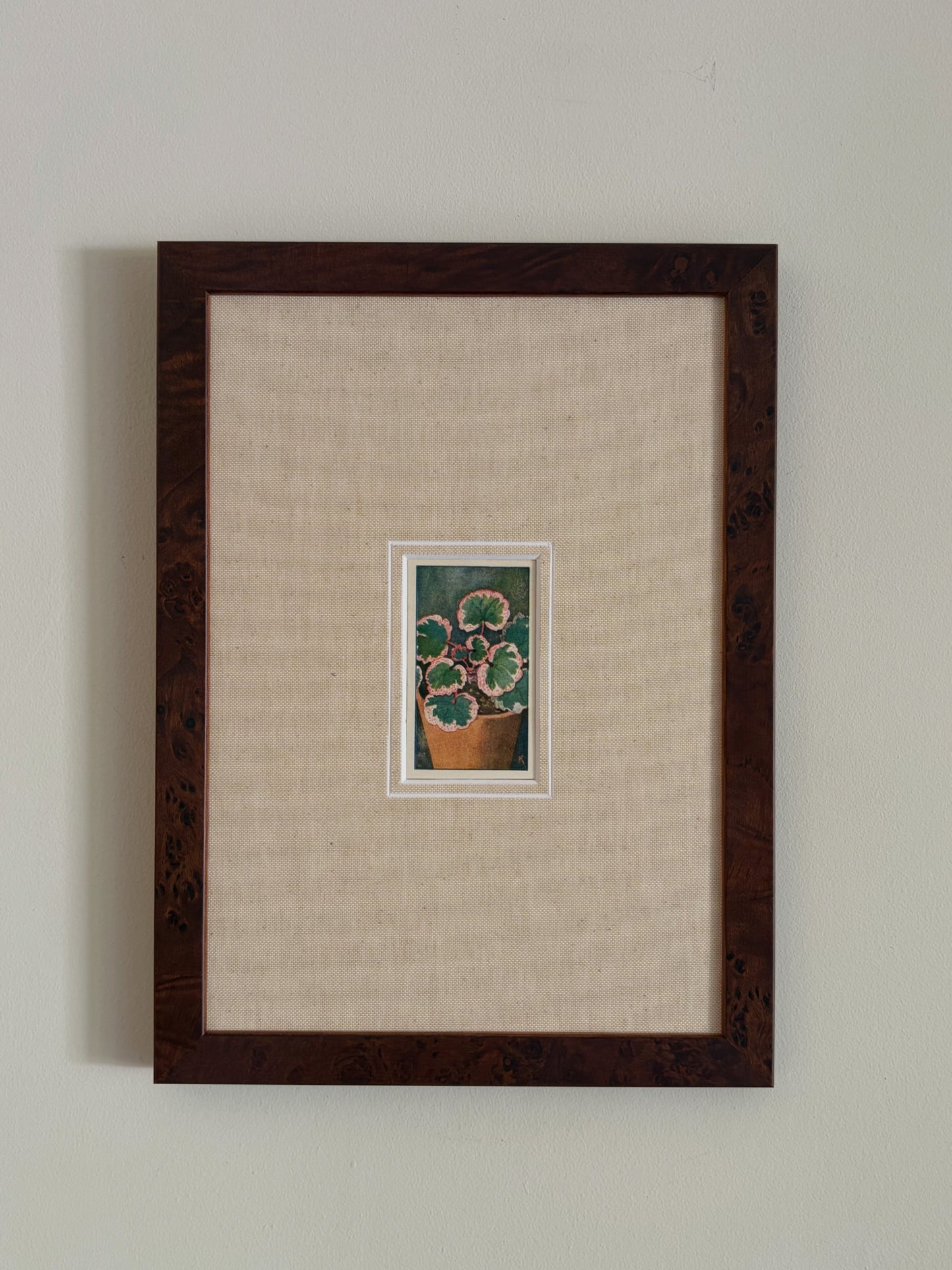 Antique strawberry begonia potted plant print in teak frame