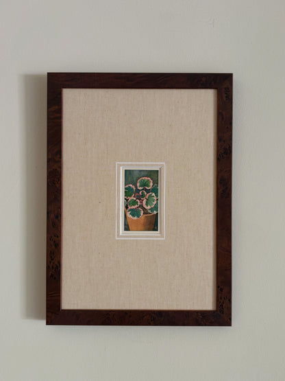 Antique strawberry begonia potted plant print in teak frame