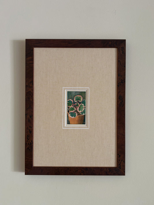 Antique strawberry begonia potted plant print in teak frame