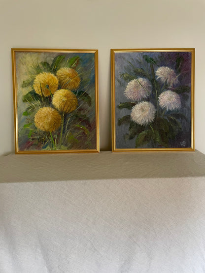 White Chrysanthemums with blue and purple background