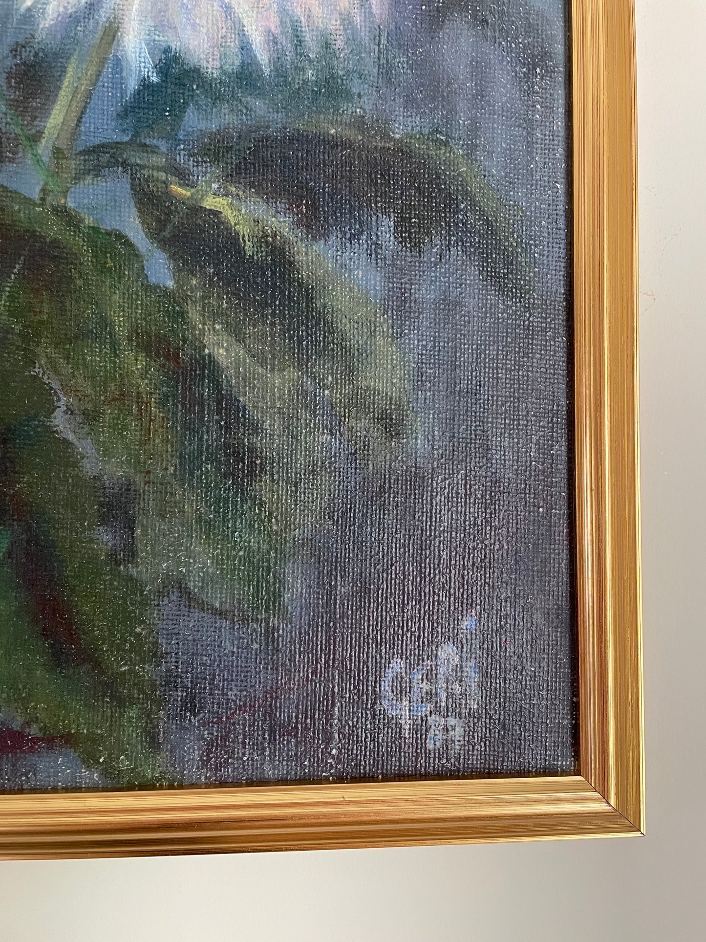 White Chrysanthemums with blue and purple background