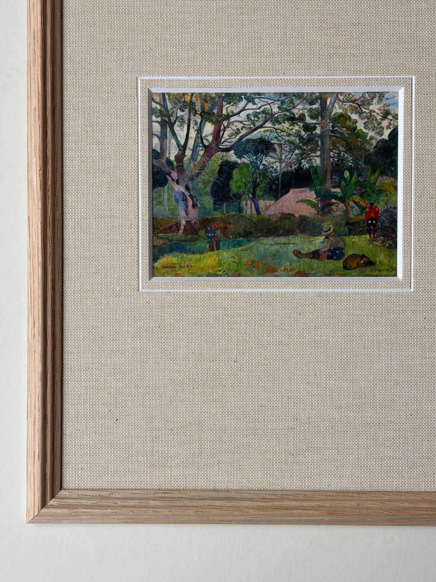 Framed tropical landscape with mount