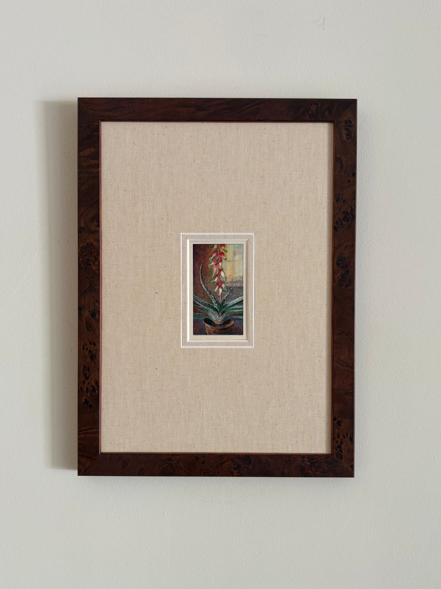 Antique aloe vera flower print in teak frame