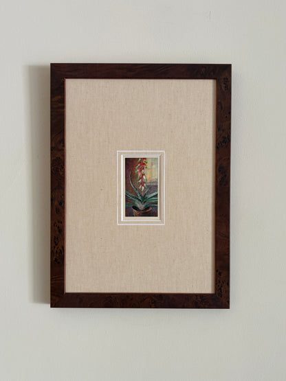 Antique aloe vera flower print in teak frame