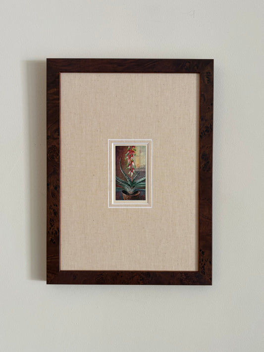 Antique aloe vera flower print in teak frame