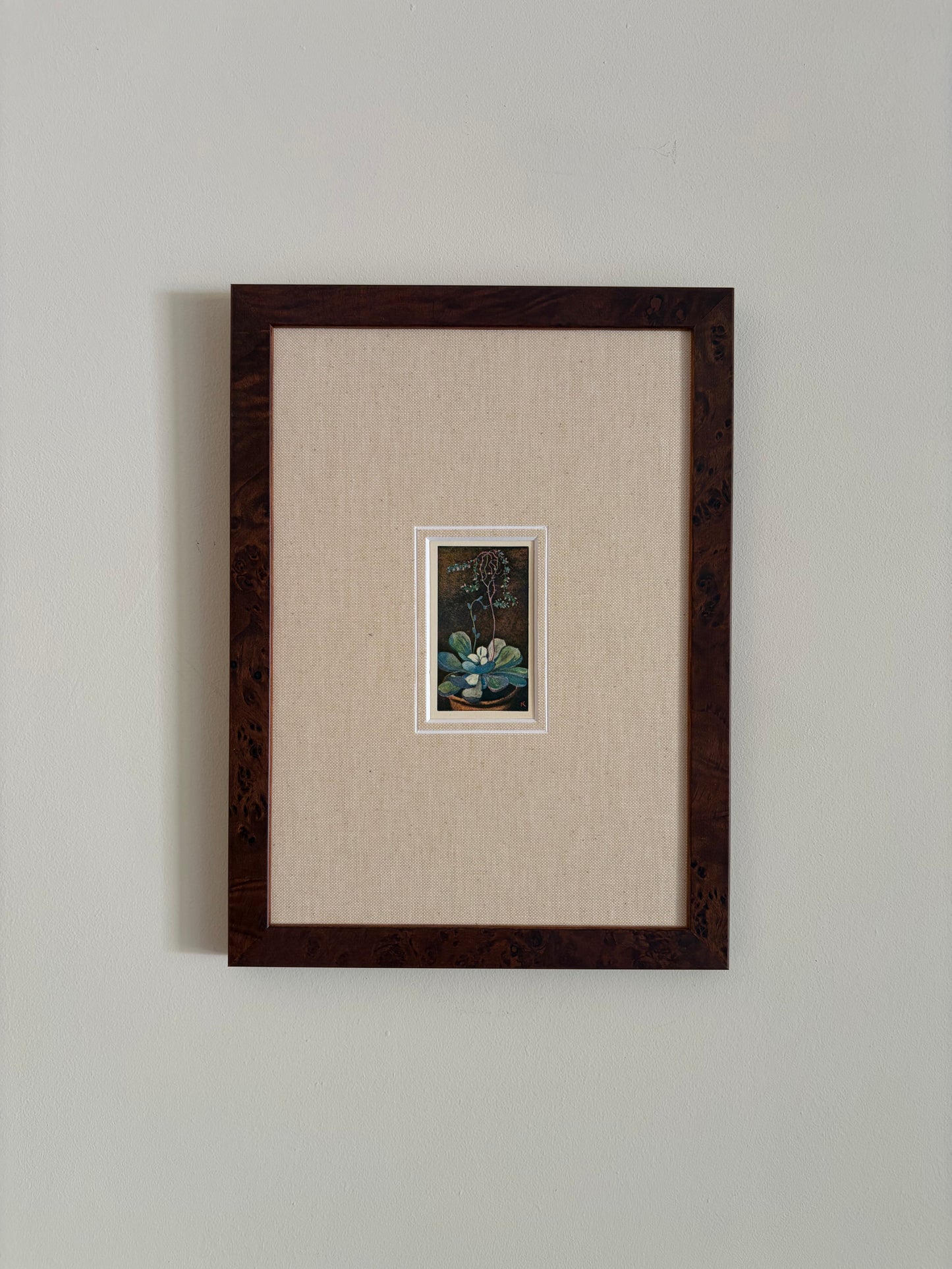Antique succulent flower print in teak frame
