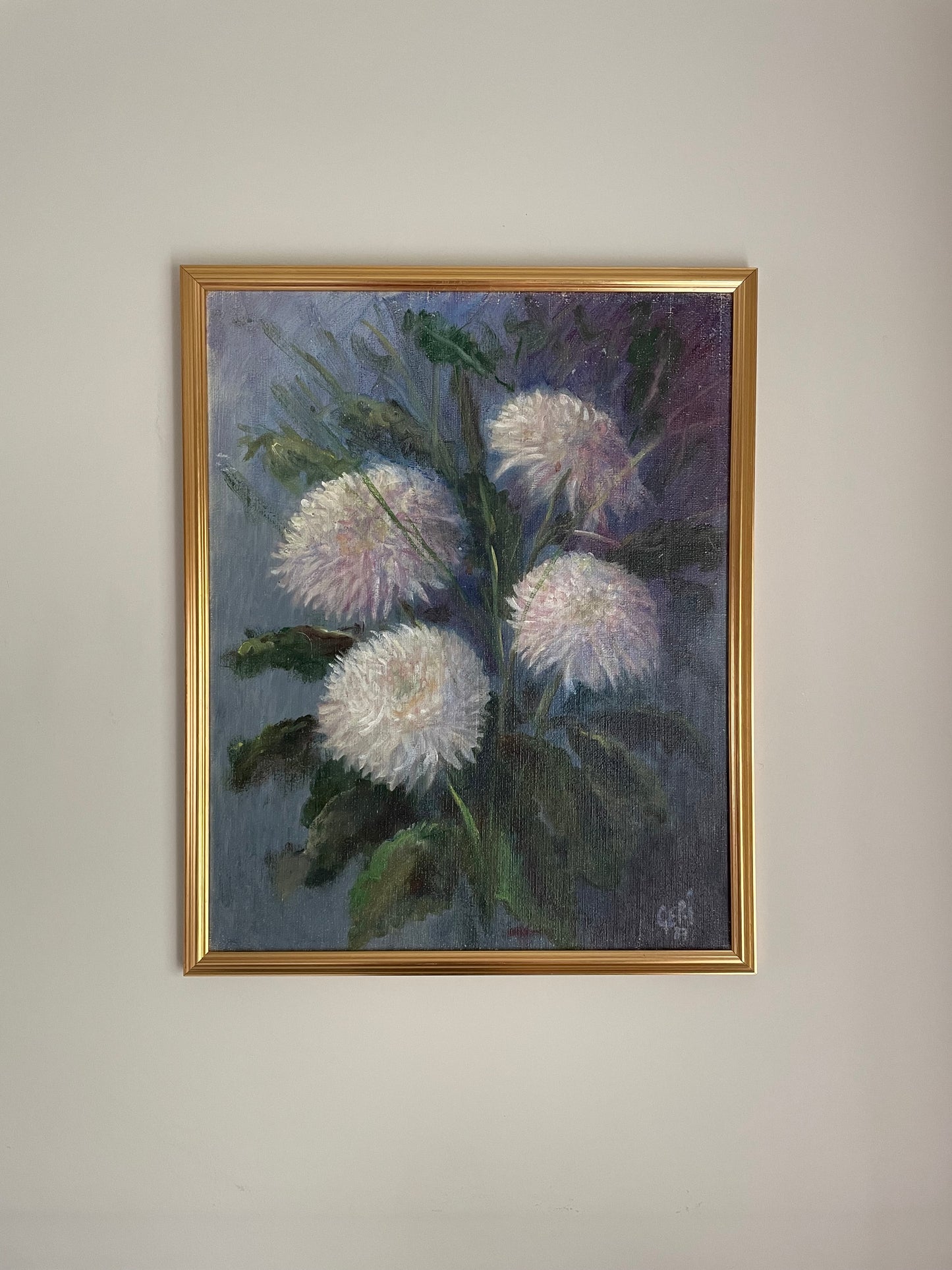 White Chrysanthemums with blue and purple background