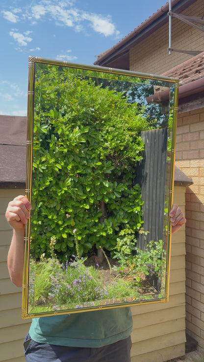 Vintage polished brass bamboo style mirror